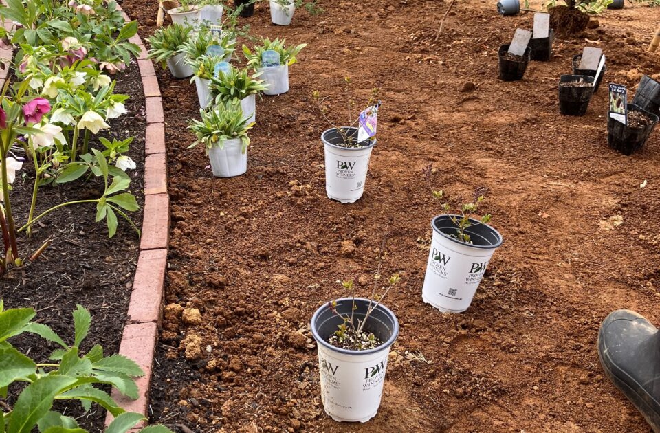 植栽の植え込みは気分が上がります
