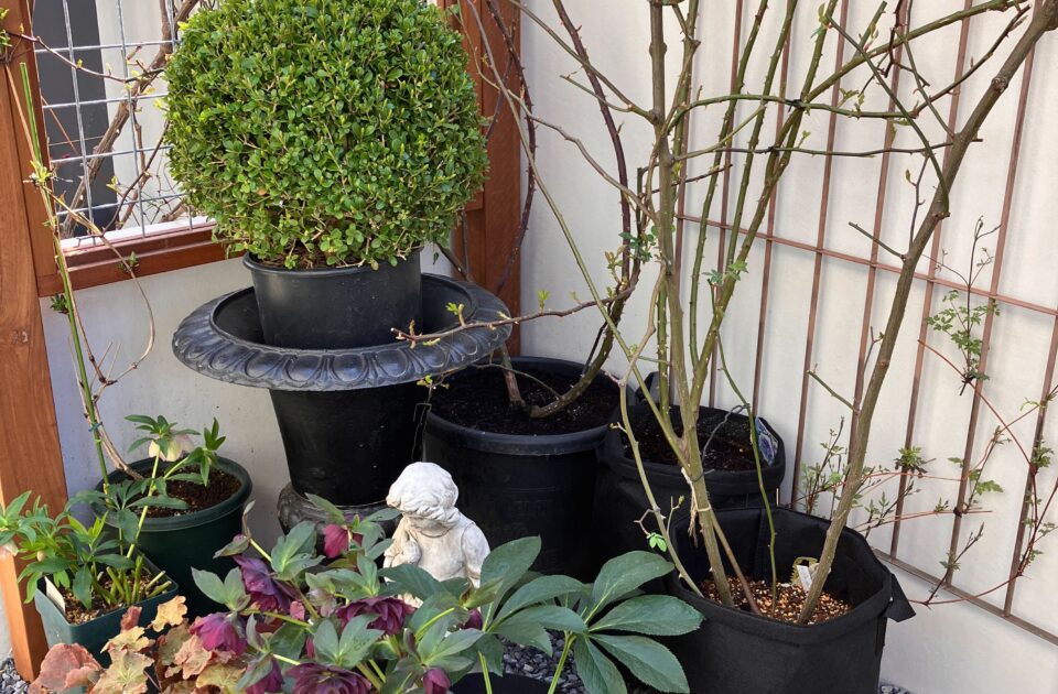 春はもうすぐそこに