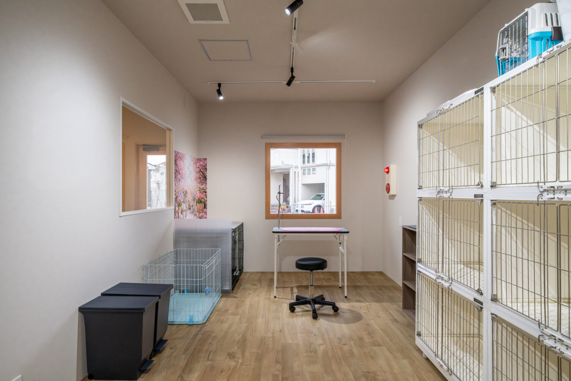 Grooming Salon IRIE