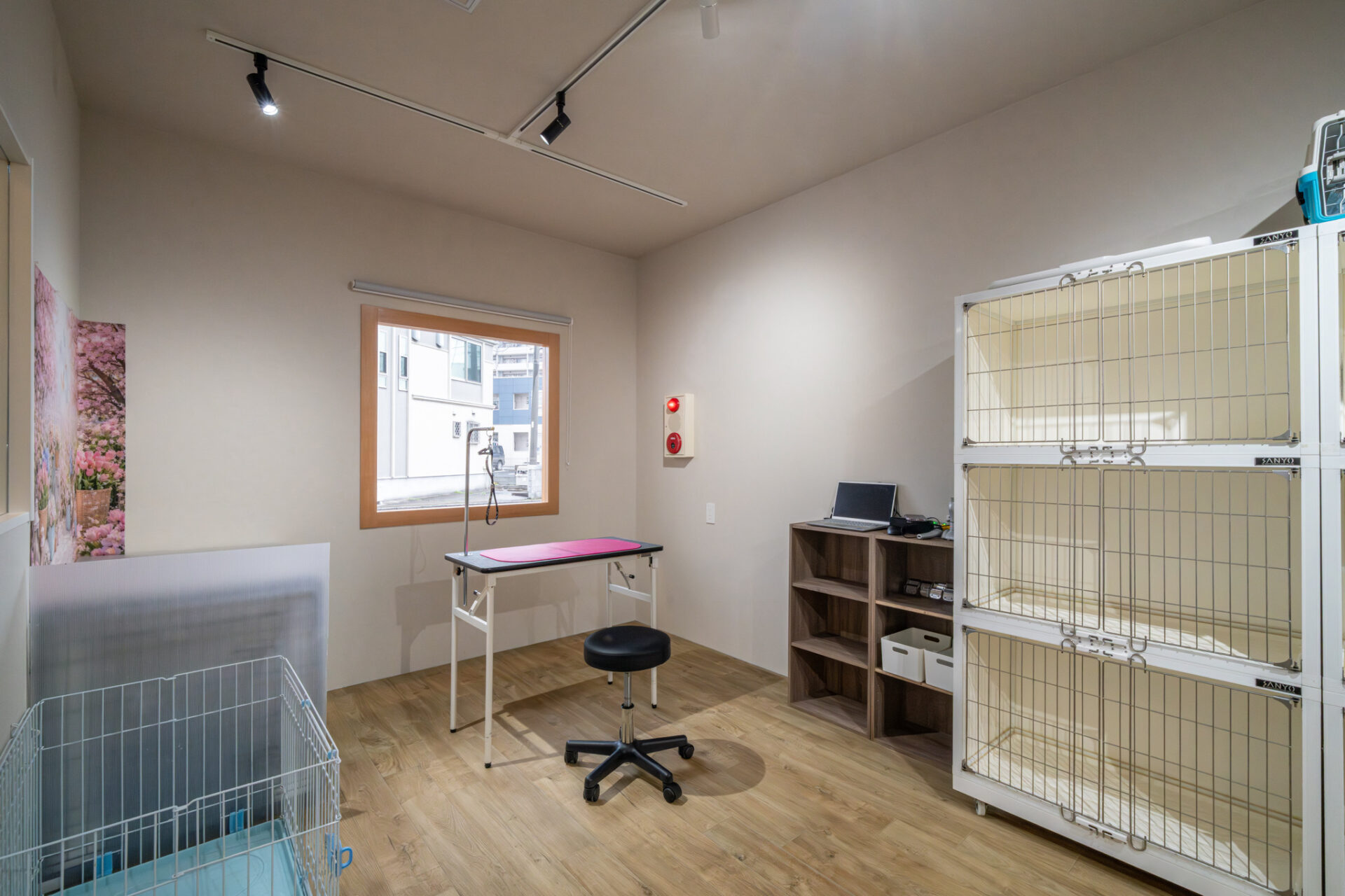 Grooming Salon IRIE