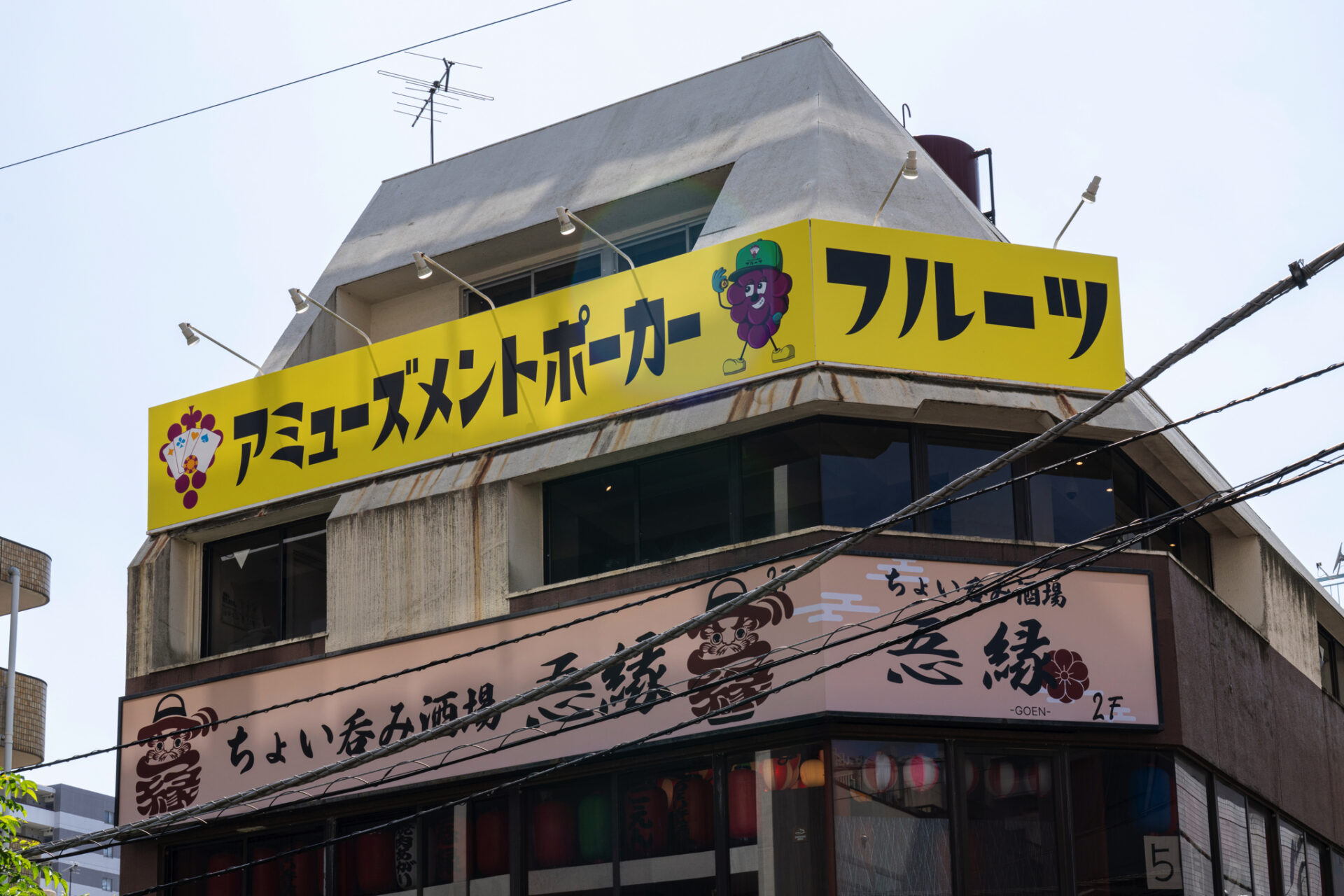 フルーツ松戸店